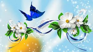 Image result for animated butterflies wallpaper