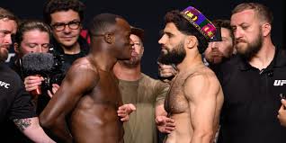 MMA Junkie
