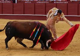 Diario Sur - News update