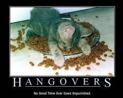 Image result for free hangover pictures