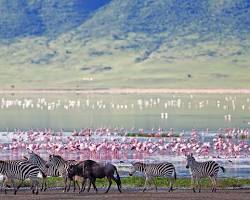 Image of Ngorongoro Crater, Tanzania
