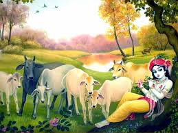 Image result for free images of lord krishna