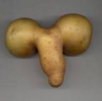 Potato dick