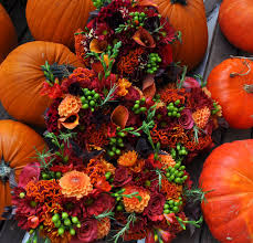 Image result for images of fall flowers