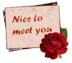 Resultado de imagen para nice to meet you