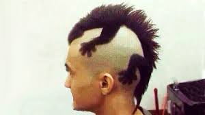 Image result for crazy animals