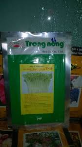 Image result for RAU MẦM CẢI XANH