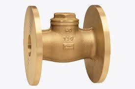 Albion Valves - Expert Power Saudi Arabia