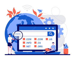 resmi alan adı tescil eden kişi
