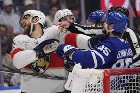 Maple Leafs Daily - News update