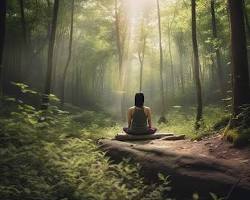 Image of 森での瞑想