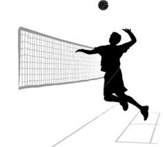 Hasil gambar untuk VOLLY