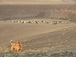 Résultat de recherche d'images pour "désert du Gobi"