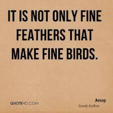 Feathers Quotes - Page 1 | QuoteHD via Relatably.com