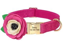 stylish dog collars with namesの画像