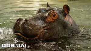 BBC - News update