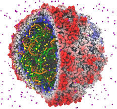 Image result for macromolecular graphic modeling