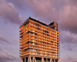 Image of William Vale