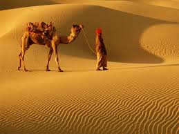 Image result for rajasthan images