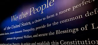 Image result for constitutional Americans