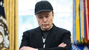 Elon Musk's Wikipedia rival site live after crashing on launch day