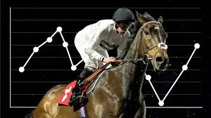 From Undisputed Champion Hurdle King to All-Weather: The Evolution of Constitution Hill
