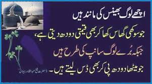 Beautiful Urdu Inspirational Quotes - Voice of Pakistan via Relatably.com