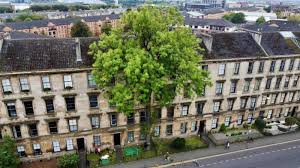 We love Stornoway - News update