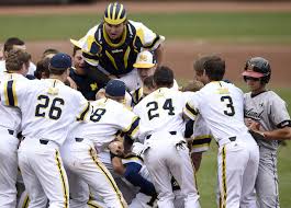 Image result for michigan baseball