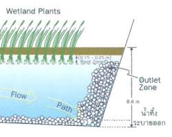 รูปภาพระบบบำบัดน้ำเสียแบบบึงเทียม