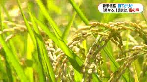 米騒動
