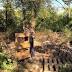 SprawlingNashvilleHomeless Camp Slowly Disbanding At City's...