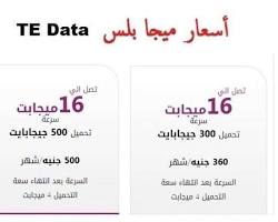 صورة باقة سرعة 4 ميجابت من تى اى داتا