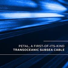 ‘Petal’: Meta anuncia cabo submarino transoceânico com capacidade de petabit