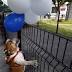 EastBostondog park formally opens