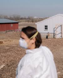 Bird Flu Outbreak Devastates US Farms