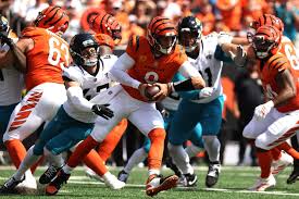 Bengals Mailbag Discussions