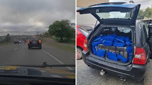 Flagrante! PRF Apreende +500kg de Maconha em Campo Largo! 🚨