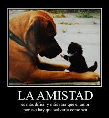 Resultado de imagen para frases de amistad