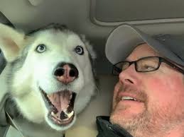 Mike Evans | Real Estate Agent in Olympia, WA - Homes.com