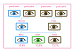 Couleur des yeux de b b - m