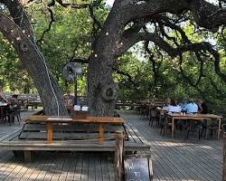 Image of Salt Lick BarBQ in Pearland, Texas