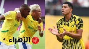 بوابة الزهراء - News update