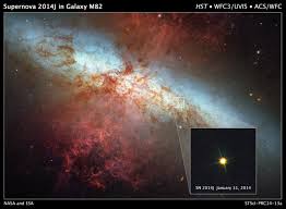 Image result for galaxy m82