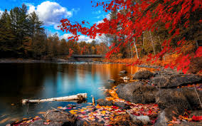 Autumn river, Holzbrücke, Wälder und rote Blätter ...