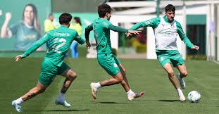 PTD - Palmeiras Todo Dia - News update