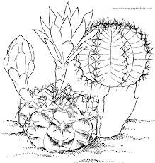 Résultat de recherche d'images pour "cactus coloring pages"