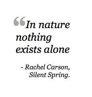 What is Rachel Carson&#39;s Legacy? 6 Women Leaders Speak Out On The ... via Relatably.com