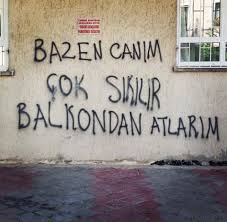 resim