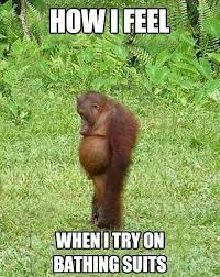 Image result for Animal Meme